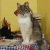 Отзыв от Наиля Горбунова
